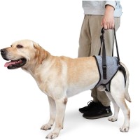 Comfy Design Adjustable Dog Support Harness for Back Legs