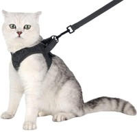Escape Proof Cat Walking Jackets with Retractable Leash