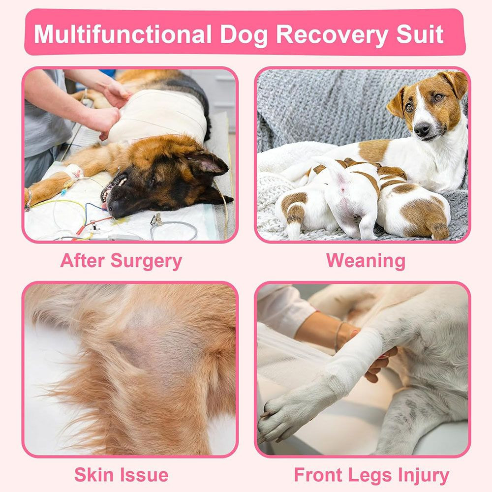 Breathable and Highly Stretchable Dog Surgery Recovery Suit