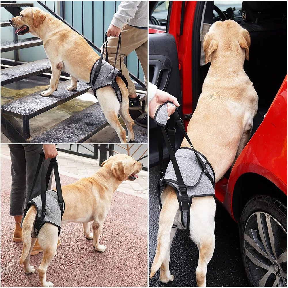 Comfy Design Adjustable Dog Support Harness for Back Legs