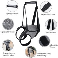 Comfy Design Adjustable Dog Support Harness for Back Legs