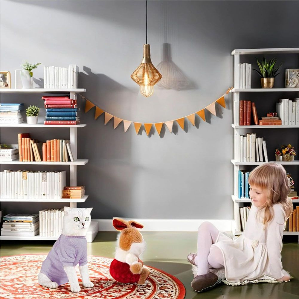 Onesie Recovery Suits  for Cat Pet Wound Care