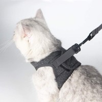 Escape Proof Cat Walking Jackets with Retractable Leash